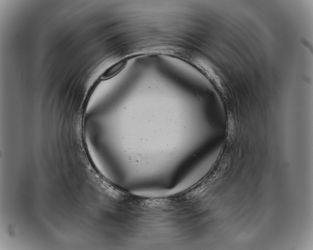 X0000096670952200802191326