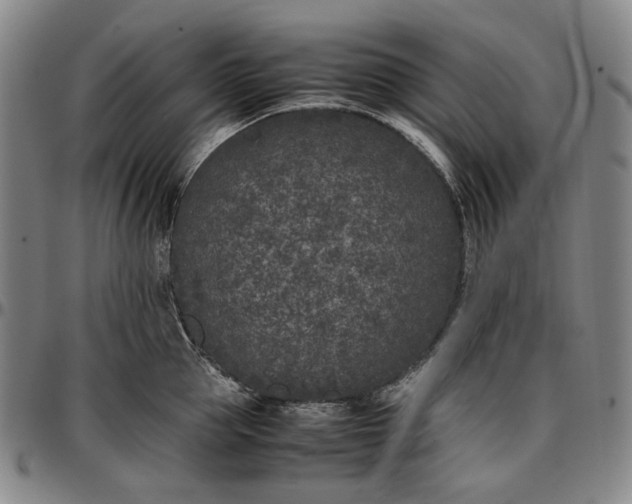 X0000096670953200802191326