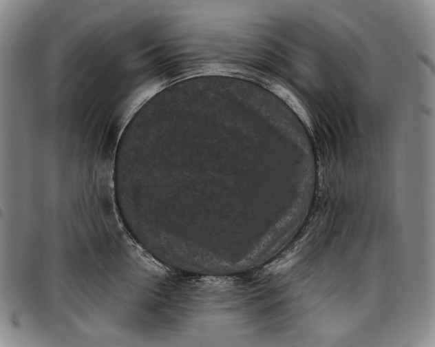 X0000096670954200802191327