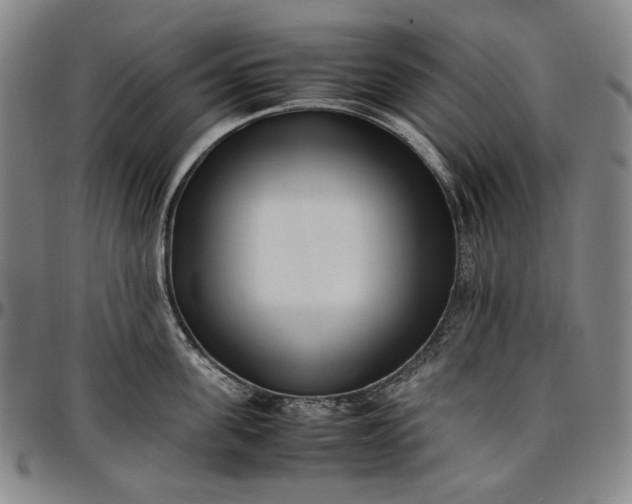 X0000096670955200802191327