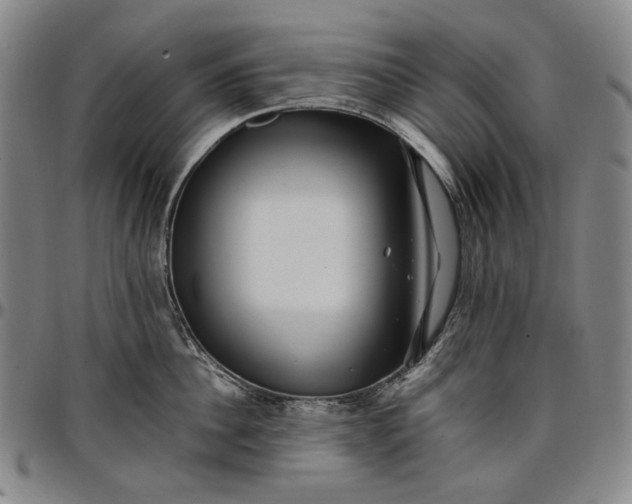 X0000096670956200802191327