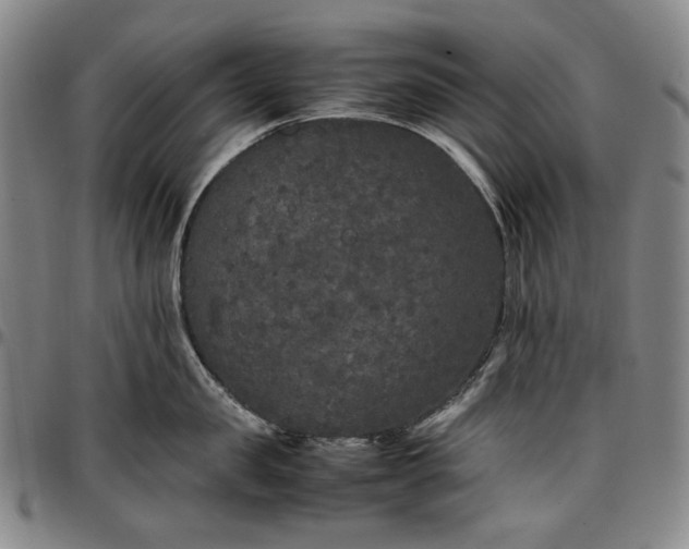 X0000096670957200802191327
