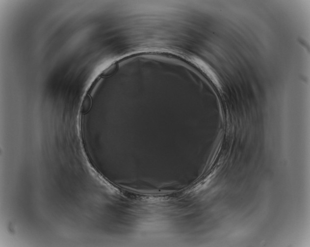 X0000096670958200802191327