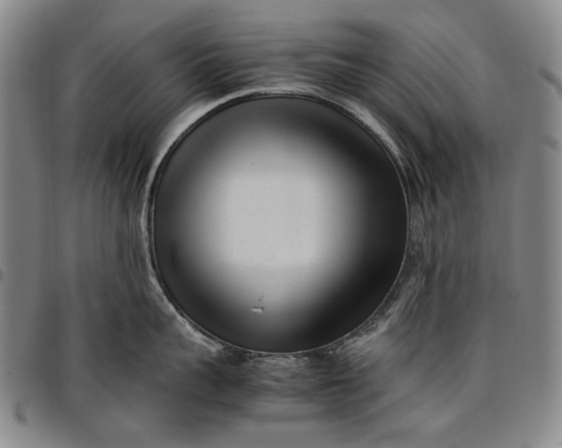 X0000096670959200802191327