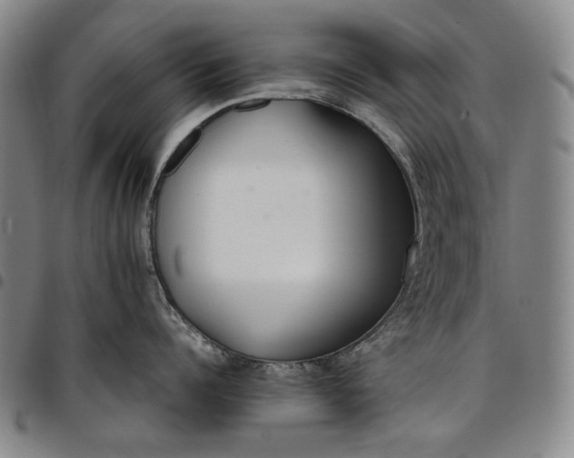 X0000096670960200802191327