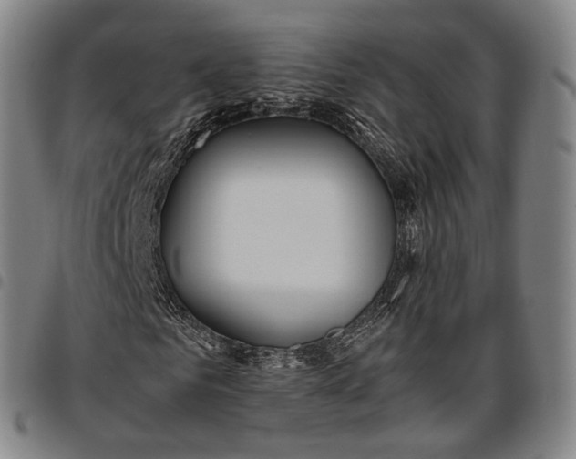 X0000096670961200802191326