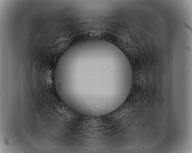 X0000096670962200802191326