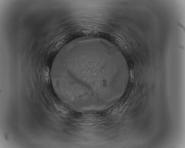 X0000096670963200802191326