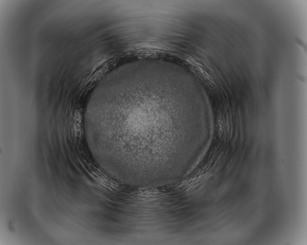 X0000096670964200802191326