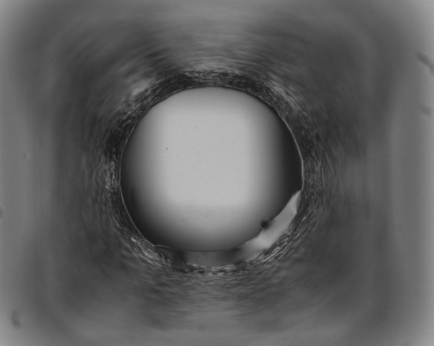 X0000096670965200802191326