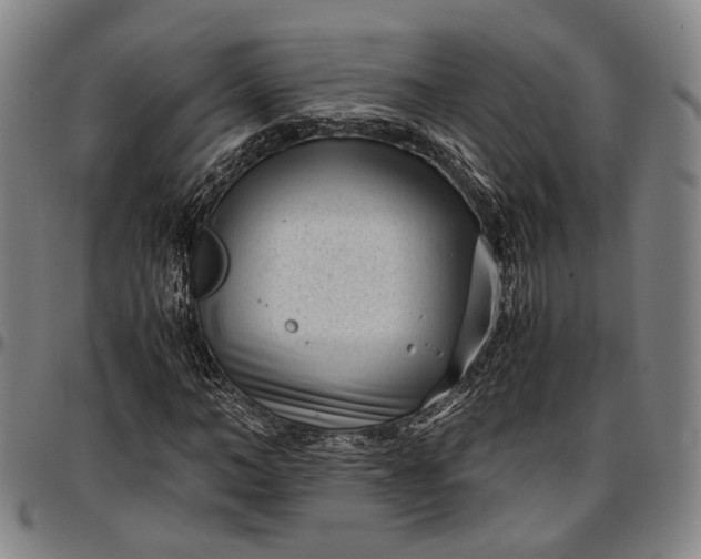 X0000096670966200802191326
