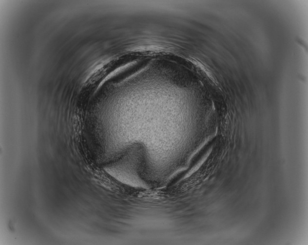 X0000096670967200802191326