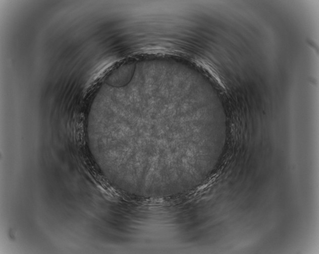 X0000096670968200802191326