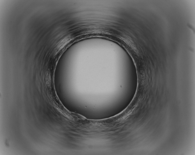 X0000096670969200802191326