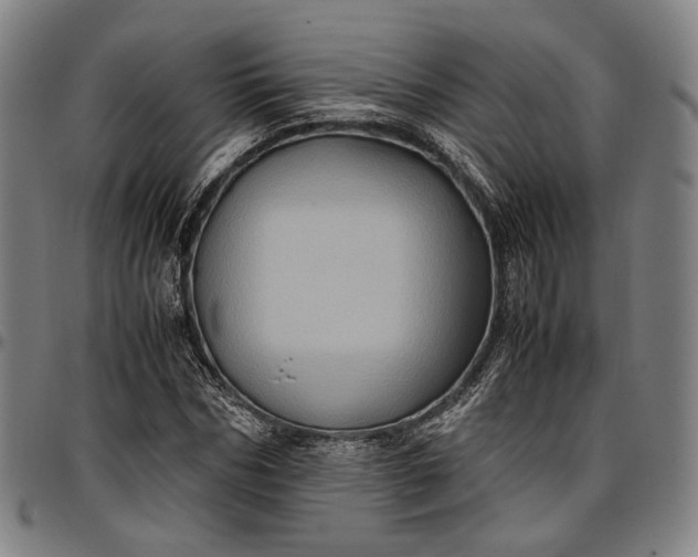 X0000096670970200802191326