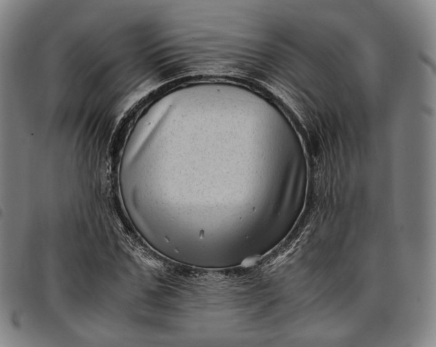 X0000096670971200802191326