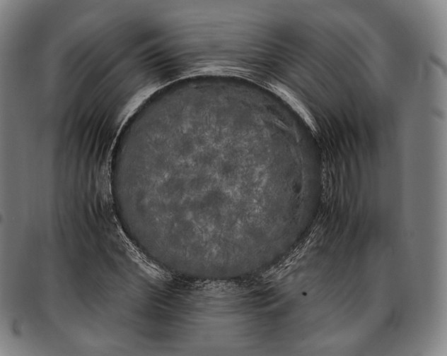 X0000096670972200802191326