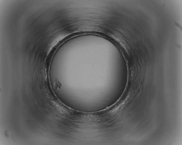 X0000096670973200802191326
