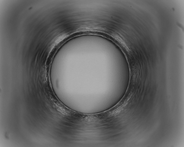 X0000096670974200802191326