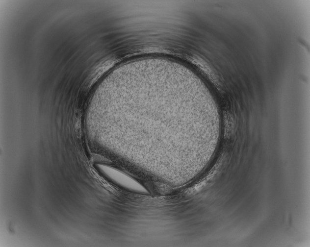 X0000096670977200802191326