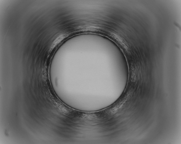 X0000096670978200802191326