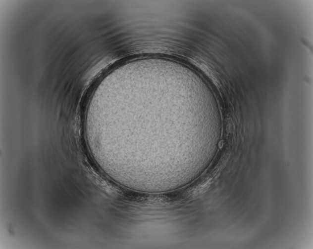 X0000096670979200802191326