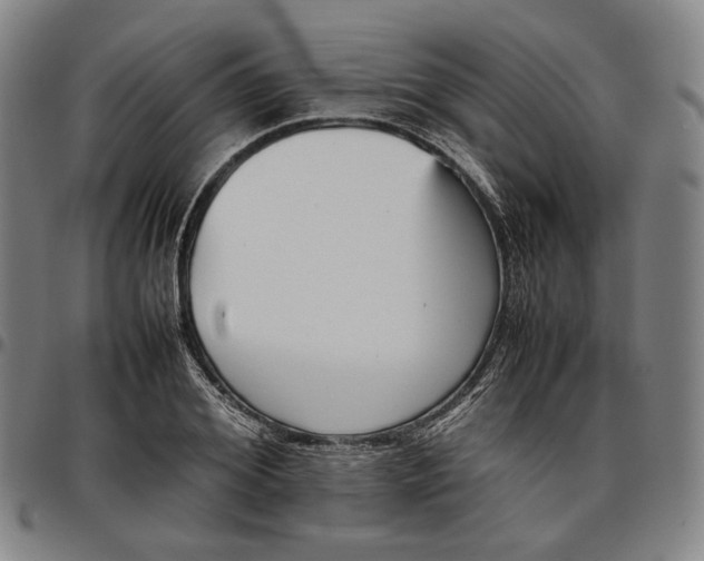 X0000096670980200802191326