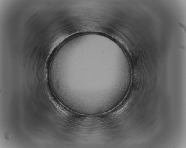 X0000096670981200802191325
