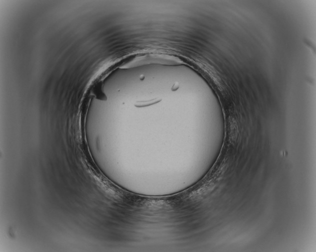 X0000096670982200802191325
