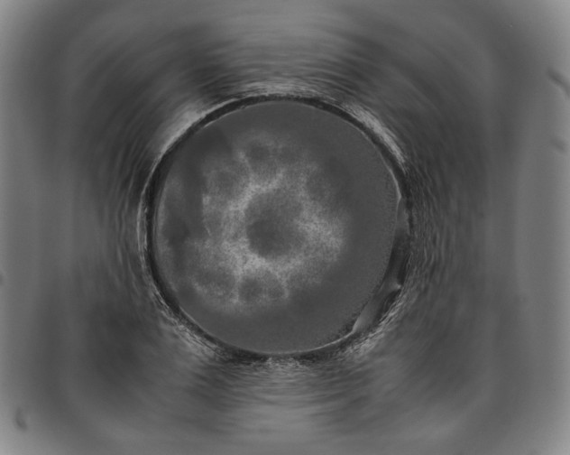X0000096670983200802191325