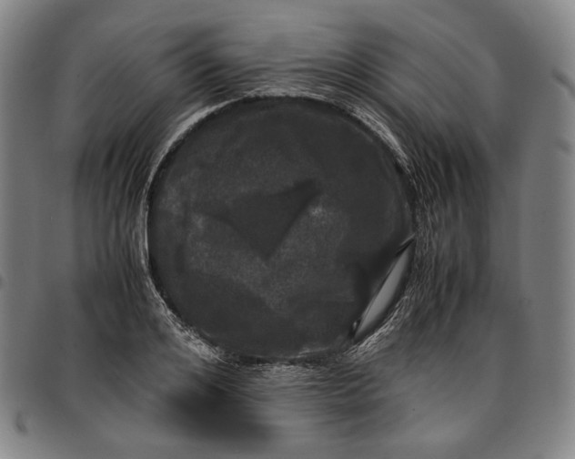 X0000096670984200802191325