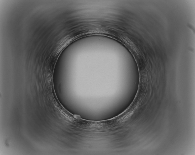 X0000096670985200802191325