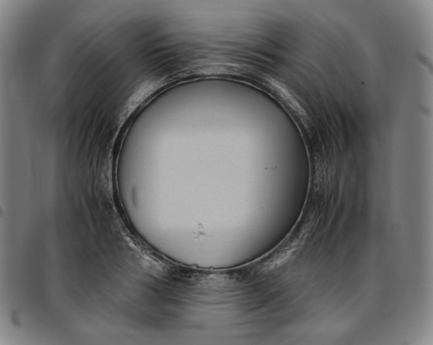 X0000096670986200802191325
