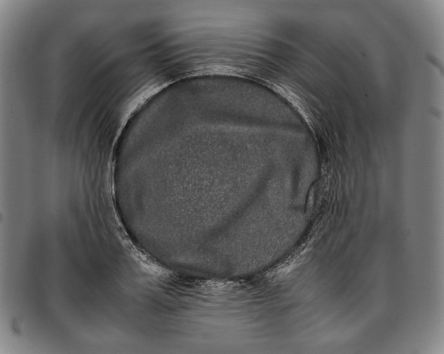 X0000096670987200802191325
