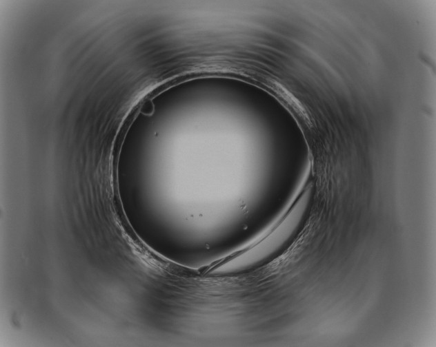 X0000096670988200802191325