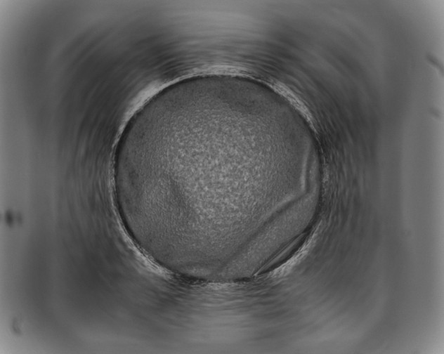 X0000096670989200802191325