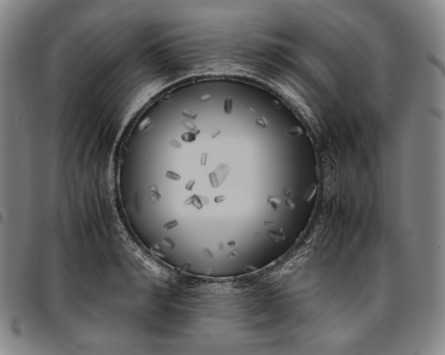 X0000096670990200802191325
