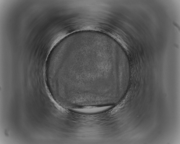X0000096670991200802191325