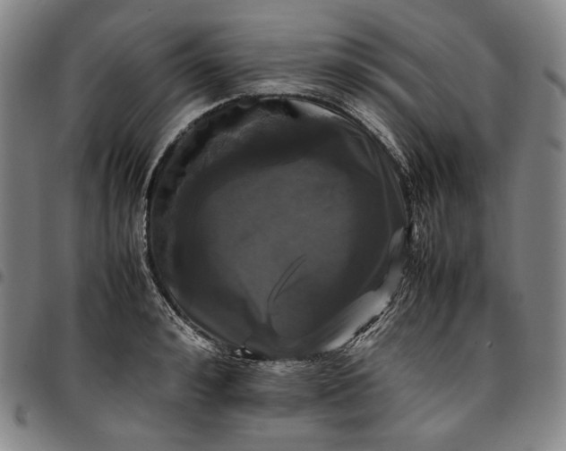 X0000096670992200802191325