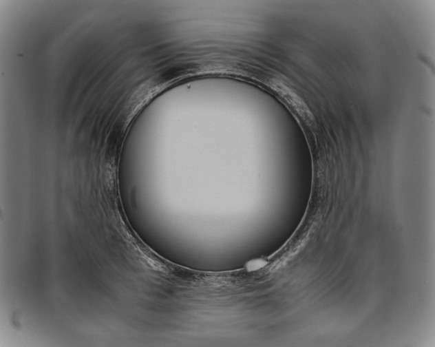 X0000096670993200802191325