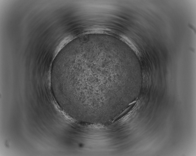 X0000096670994200802191325