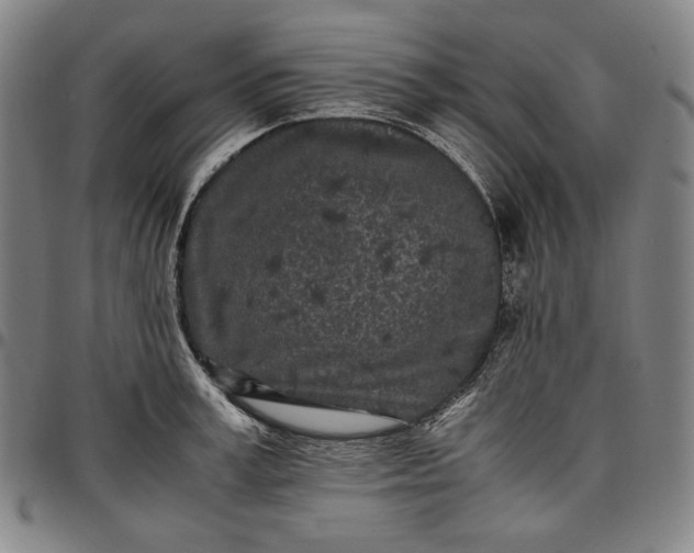 X0000096670995200802191325