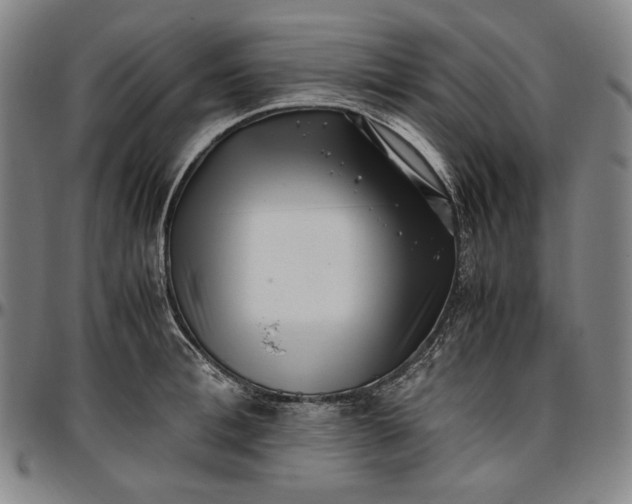 X0000096670996200802191325