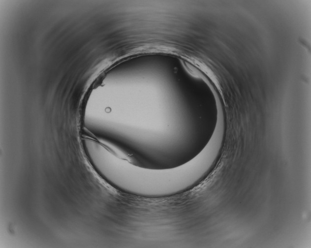 X0000096670997200802191325