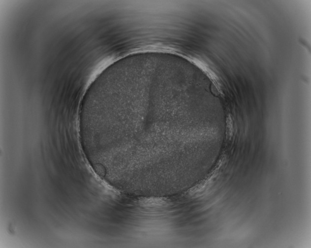 X0000096670998200802191325