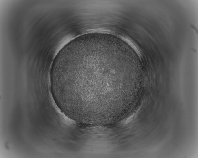 X0000096670999200802191325