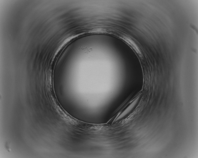 X0000096671000200802191325