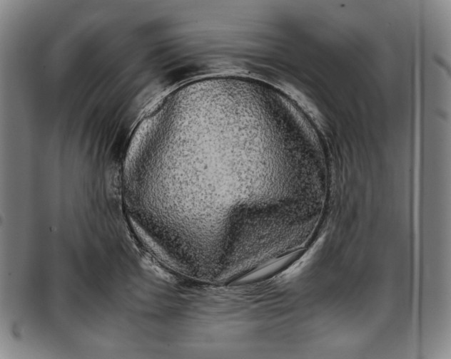X0000096671001200802191325