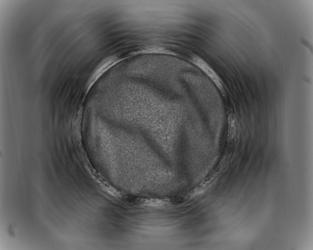 X0000096671002200802191325