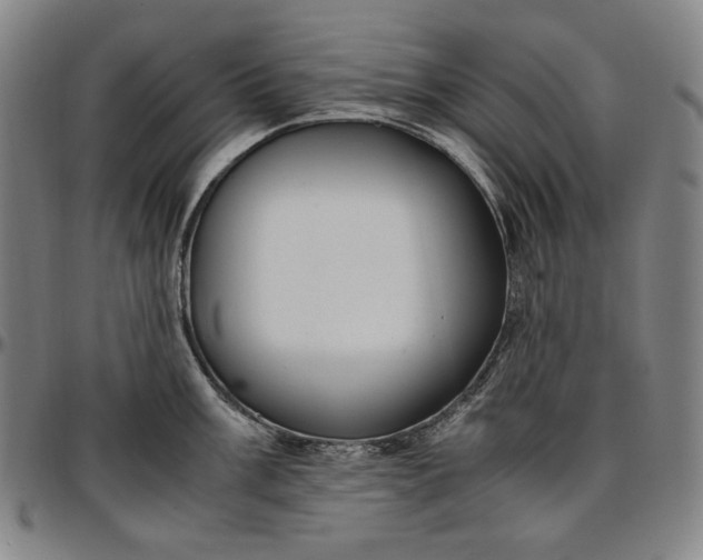 X0000096671003200802191325
